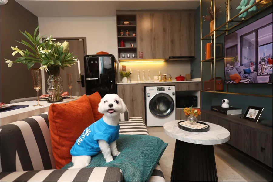 รวมคอนโด เลี้ยงสัตว์ได้ Pet Friendly โครงการใหม่ ไม่ต้องรู้สึกผิดกับเพื่อนข้างห้อง 