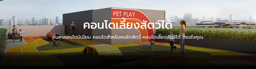 รวมคอนโด เลี้ยงสัตว์ได้ Pet Friendly โครงการใหม่ ไม่ต้องรู้สึกผิดกับเพื่อนข้างห้อง 