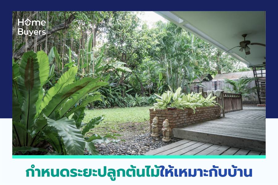 กำหนดระยะปลูกต้นไม้ให้เหมาะกับบ้าน กำหนดระยะปลูกต้นไม้ให้เหมาะกับบ้าน