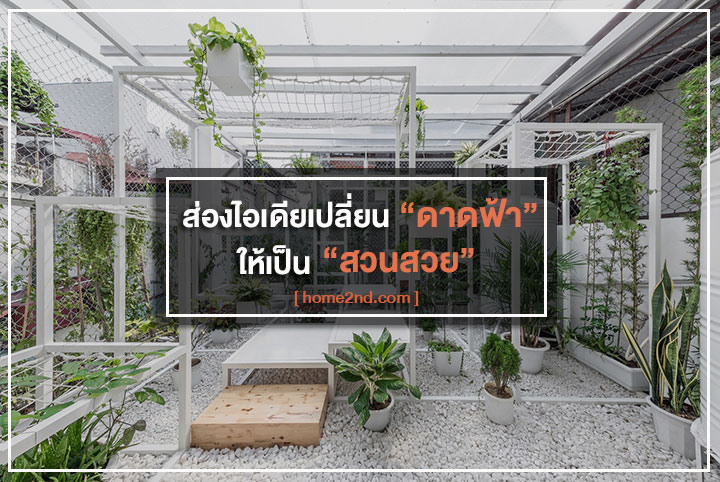 ส่องไอเดียเปลี่ยน “ดาดฟ้า” ให้เป็น “สวนสวย” ส่องไอเดียเปลี่ยน “ดาดฟ้า” ให้เป็น “สวนสวย”