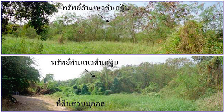 ที่ดินจาก ธนาคารธนชาต ทำเลสระบุรีโคราชฉะเชิงเทรากทม. ที่ดินจาก ธนาคารธนชาต ทำเลสระบุรีโคราชฉะเชิงเทรากทม.