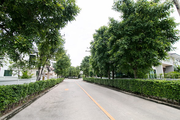 โครงการบ้านที่ดี ส่วนกลางต้อง น่าใช้ สะดวก ตอบสนองความต้องการคนทุกวัย โครงการบ้านที่ดี ส่วนกลางต้อง น่าใช้ สะดวก ตอบสนองความต้องการคนทุกวัย
