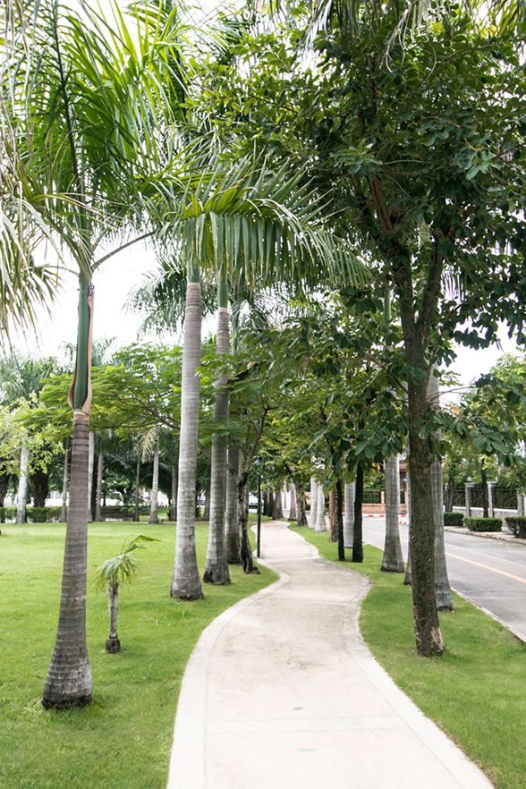 โครงการบ้านที่ดี ส่วนกลางต้อง น่าใช้ สะดวก ตอบสนองความต้องการคนทุกวัย โครงการบ้านที่ดี ส่วนกลางต้อง น่าใช้ สะดวก ตอบสนองความต้องการคนทุกวัย