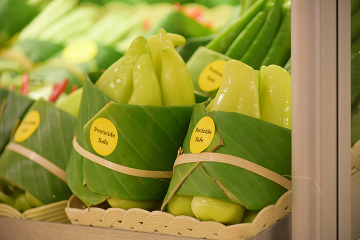 ไอเดียแจ่ม ณ ห้างริมปิง จ.เชียงใหม่ ใช้ใบตองห่อผักแทนพลาสติก ไอเดียแจ่ม ณ ห้างริมปิง จ.เชียงใหม่ ใช้ใบตองห่อผักแทนพลาสติก
