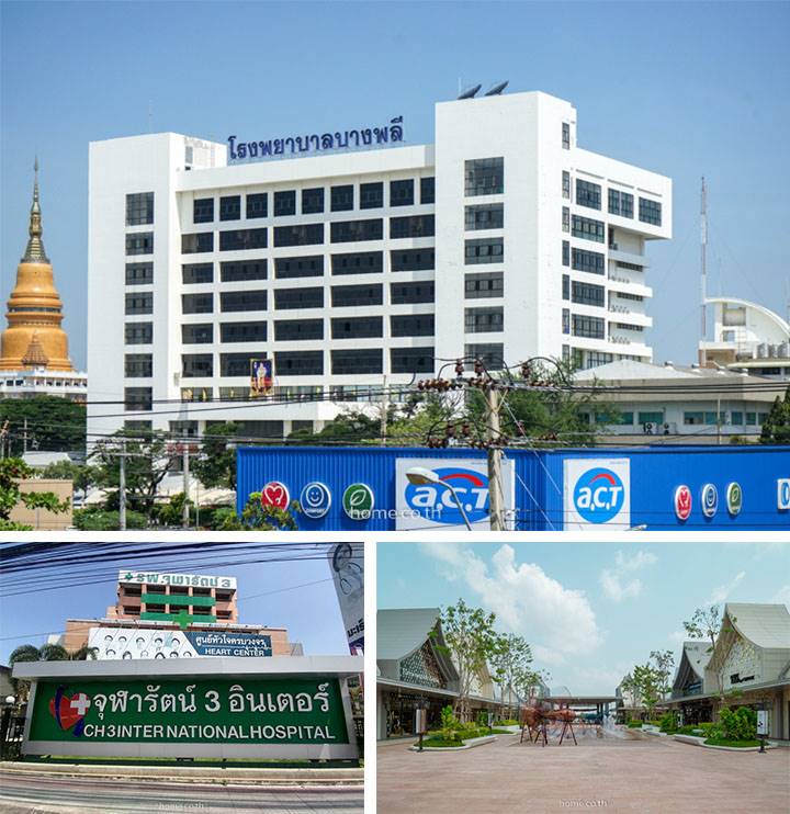 รีวิวบ้านเดี่ยวและบ้านแฝด ลลิลทาวน์ แลนซีโอ คริป บางนา-เทพารักษ์ บ้านเดี่ยว-บ้านแฝดฟังก์ชันลงตัวสำหรับครอบครัว