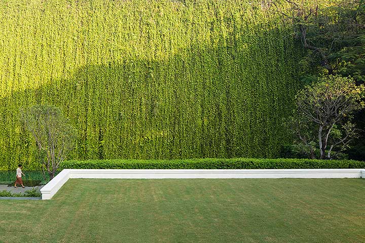5 จุดเด่น การจัดสวนแบบ Green Wall