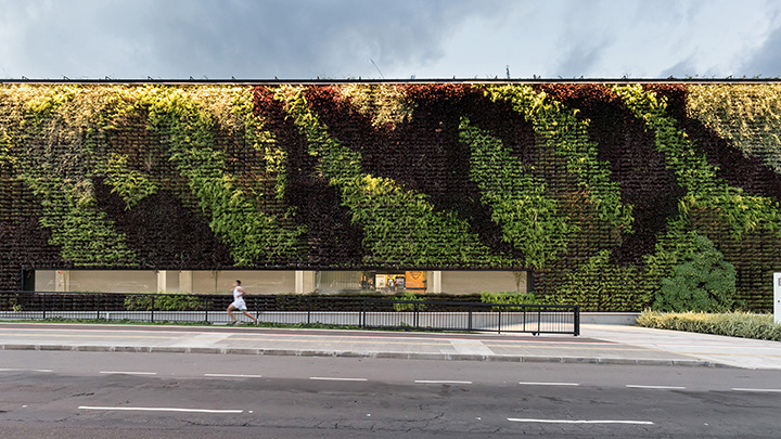 5 จุดเด่น การจัดสวนแบบ Green Wall