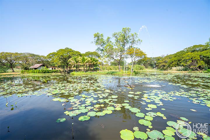 ชวนชิม บ้านสวนนารา อาหารรสเด็ด กลางบรรยากาศสวนสวย