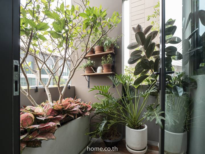 รีวิวทาวน์โฮม บ้านกลางเมือง บางนา-วงแหวน ทาวน์โฮม 3 ชั้น ที่เด่นทั้งทำเลเดินทางเชื่อมต่อได้สะดวก ส่วนกลางที่ดีไซน์หรู ทันสมัย รีวิวทาวน์โฮม บ้านกลางเมือง บางนา-วงแหวน ทาวน์โฮม 3 ชั้น ที่เด่นทั้งทำเลเดินทางเชื่อมต่อได้สะดวก ส่วนกลางที่ดีไซน์หรู ทันสมัย