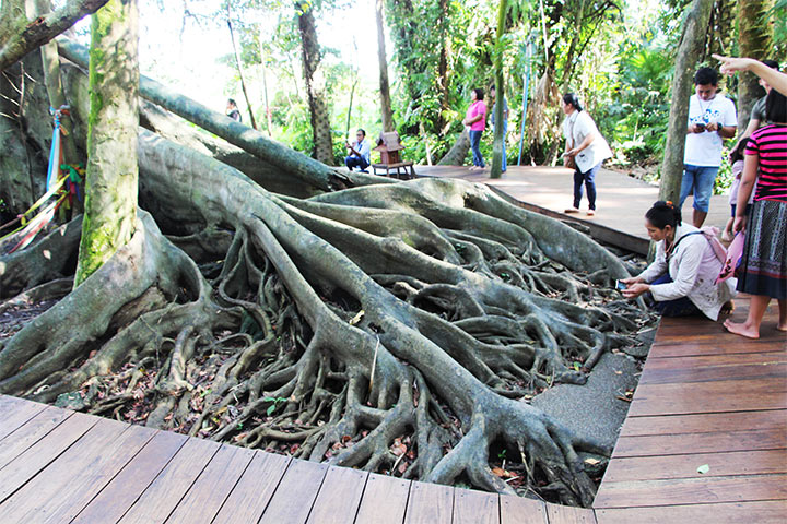 วังนาคินทร์ คำชะโนด ตำนาน มนต์ขลัง ดินแดนพญานาค
