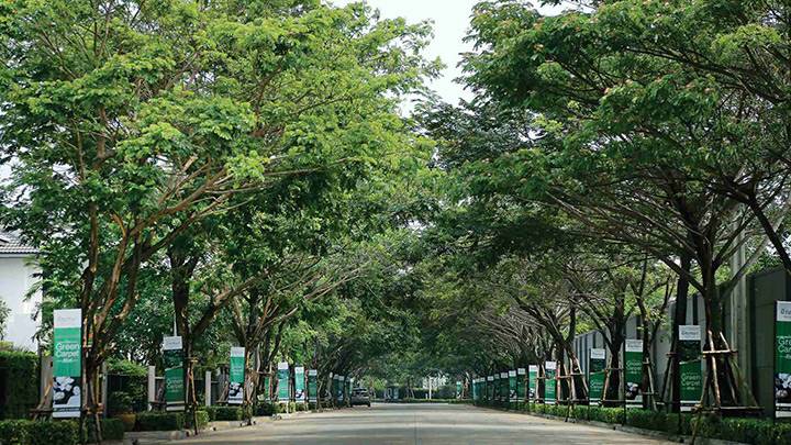 พรีวิวบ้านเดี่ยว มัณฑนา เวสต์เกต บ้านใหญ่สุดหรู ติดถนนกาญจนาภิเษก
