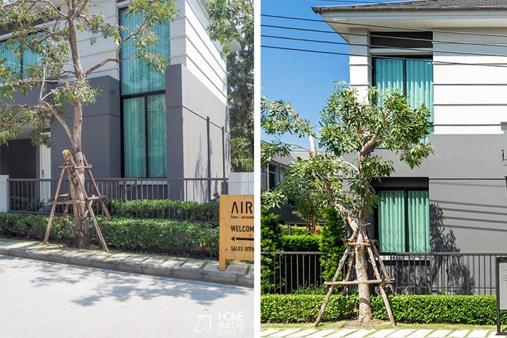 รีวิวบ้านเดี่ยว แอริ พระราม 5 - ราชพฤกษ์ ดีไซน์ให้โปร่งอย่างเป็นส่วนตัวได้พื้นที่เปิดสู่สวนข้างบ้าน ร่มรื่นด้วยส่วนกลางที่ออกแบบกลมกลืนกับธรรมชาติ