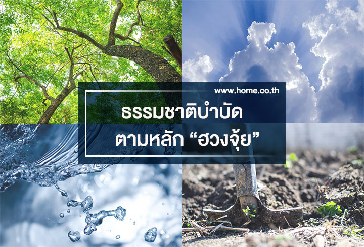 ธรรมชาติบำบัด ตามหลักฮวงจุ้ย ธรรมชาติบำบัด ตามหลักฮวงจุ้ย