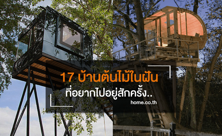 17 บ้านต้นไม้ในฝันที่อยากจะไปอยู่สักครั้ง! 17 บ้านต้นไม้ในฝันที่อยากจะไปอยู่สักครั้ง!