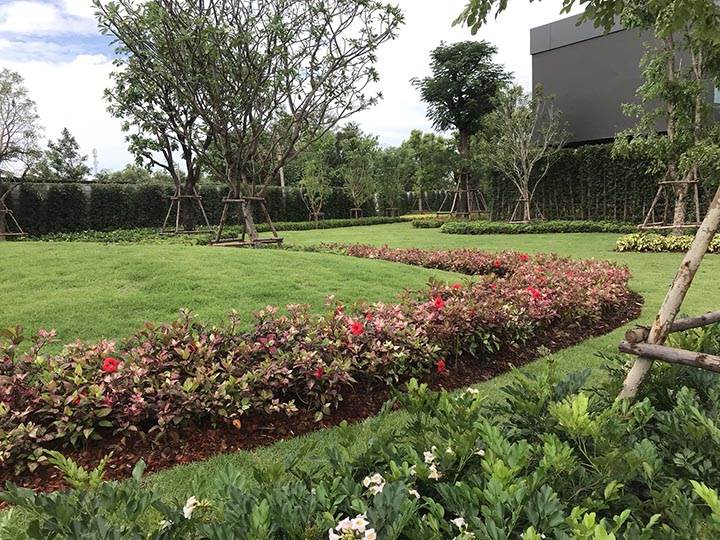 พรีวิวบ้าน เซนโทร ราชพฤกษ์-แจ้งวัฒนะ เปิดตัวแบบบ้านใหม่ล่าสุด โครงการแรกในเครือเอพีไทยแลนด์
