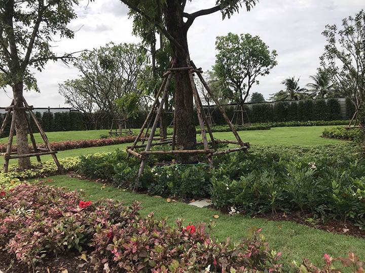 พรีวิวบ้าน เซนโทร ราชพฤกษ์-แจ้งวัฒนะ เปิดตัวแบบบ้านใหม่ล่าสุด โครงการแรกในเครือเอพีไทยแลนด์