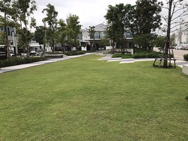 พรีวิวบ้าน ชวนชื่น พาร์ค กาญจนา-บางใหญ่ บ้านแฝดฟังก์ชั่นใหญ่ ใกล้รถไฟฟ้า ใกล้ทางด่วน ราคาไม่แพง พรีวิวบ้าน ชวนชื่น พาร์ค กาญจนา-บางใหญ่ บ้านแฝดฟังก์ชั่นใหญ่ ใกล้รถไฟฟ้า ใกล้ทางด่วน ราคาไม่แพง