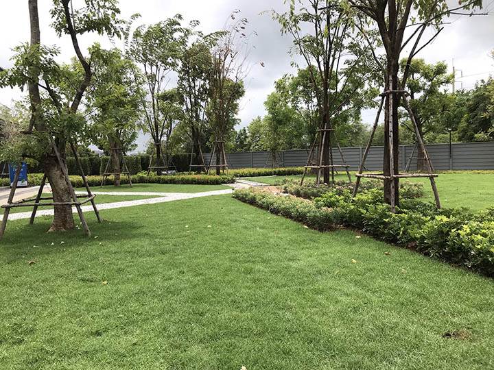 พรีวิวทาวน์โฮม บ้านพฤกษา บ้านโพธิ์-มอเตอร์เวย์ ทาวน์โฮมแบรนด์ บ้านพฤกษา แห่งแรกในพื้นที่ จ.ฉะเชิงเทรา ราคาเบาๆ พรีวิวทาวน์โฮม บ้านพฤกษา บ้านโพธิ์-มอเตอร์เวย์ ทาวน์โฮมแบรนด์ บ้านพฤกษา แห่งแรกในพื้นที่ จ.ฉะเชิงเทรา ราคาเบาๆ