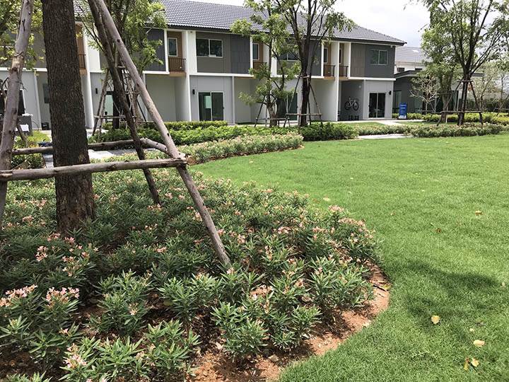 พรีวิวทาวน์โฮม บ้านพฤกษา บ้านโพธิ์-มอเตอร์เวย์ ทาวน์โฮมแบรนด์ บ้านพฤกษา แห่งแรกในพื้นที่ จ.ฉะเชิงเทรา ราคาเบาๆ พรีวิวทาวน์โฮม บ้านพฤกษา บ้านโพธิ์-มอเตอร์เวย์ ทาวน์โฮมแบรนด์ บ้านพฤกษา แห่งแรกในพื้นที่ จ.ฉะเชิงเทรา ราคาเบาๆ
