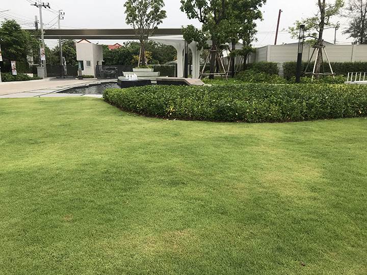 พรีวิวทาวน์โฮม บ้านกลางเมือง ราชพฤกษ์-พระราม 5 Number One High-end Townhome จาก AP