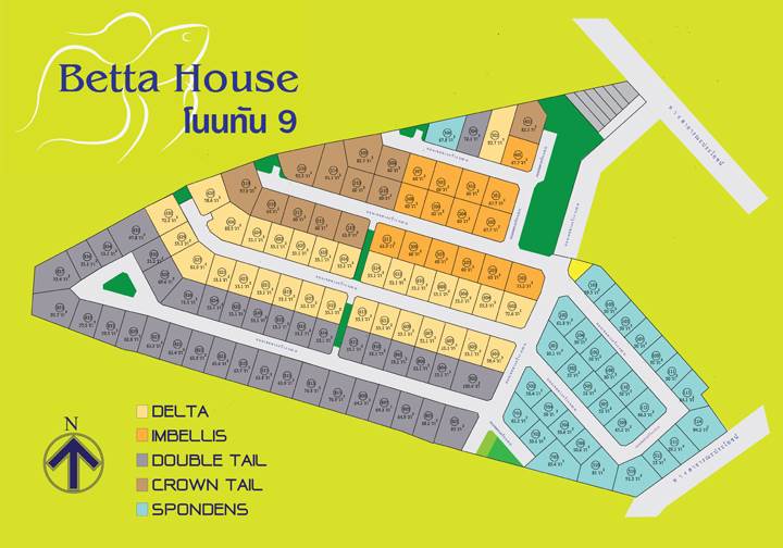 พรีวิวบ้าน เบตต้า เฮ้าส์ โนนทัน 9 บ้านเดี่ยวสไตล์โมเดิร์น เข้าเมืองสะดวก ใกล้บึงแก่นนคร พรีวิวบ้าน เบตต้า เฮ้าส์ โนนทัน 9 บ้านเดี่ยวสไตล์โมเดิร์น เข้าเมืองสะดวก ใกล้บึงแก่นนคร