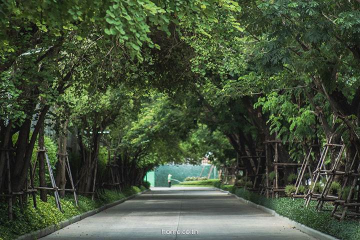 รีวิวบ้านเดี่ยวและบ้านแฝด อณาสิริ ชัยพฤกษ์ - วงแหวน Anasiri Chaiyapruek - Wongwaen บ้านที่ออกแบบบนความพอดี ทั้งการอยู่อาศัยและไลฟ์สไตล์