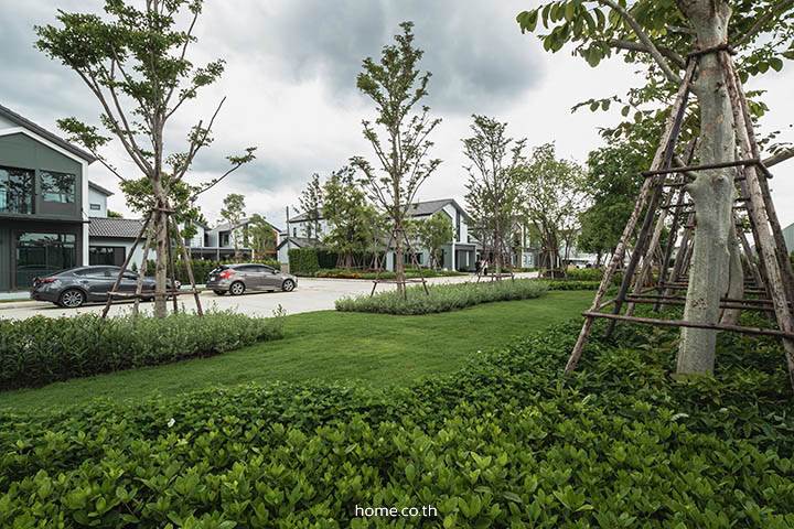 รีวิวบ้านเดี่ยวและบ้านแฝด อณาสิริ ชัยพฤกษ์ - วงแหวน Anasiri Chaiyapruek - Wongwaen บ้านที่ออกแบบบนความพอดี ทั้งการอยู่อาศัยและไลฟ์สไตล์