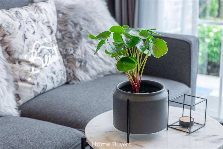 รีวิวทาวน์โฮม บ้านพฤกษา เทพารักษ์-เมืองใหม่ฯ โครงการ 3 สไตล์สแกนดิเนเวียน ฟังก์ชั่นจัดเต็ม 4 ห้องนอน 2 ห้องน้ำ การเดินทางสะดวก ใกล้ถนนหลัก ทางด่วน และแหล่งงานขนาดใหญ่ ราคาสุดคุ้ม ผ่อนได้สบายๆ รีวิวทาวน์โฮม บ้านพฤกษา เทพารักษ์-เมืองใหม่ฯ โครงการ 3 สไตล์สแกนดิเนเวียน ฟังก์ชั่นจัดเต็ม 4 ห้องนอน 2 ห้องน้ำ การเดินทางสะดวก ใกล้ถนนหลัก ทางด่วน และแหล่งงานขนาดใหญ่ ราคาสุดคุ้ม ผ่อนได้สบายๆ