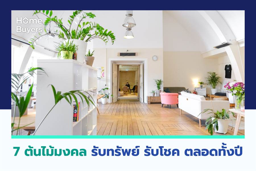 7 ต้นไม้มงคล รับทรัพย์ รับโชค ตลอดทั้งปี 7 ต้นไม้มงคล รับทรัพย์ รับโชค ตลอดทั้งปี
