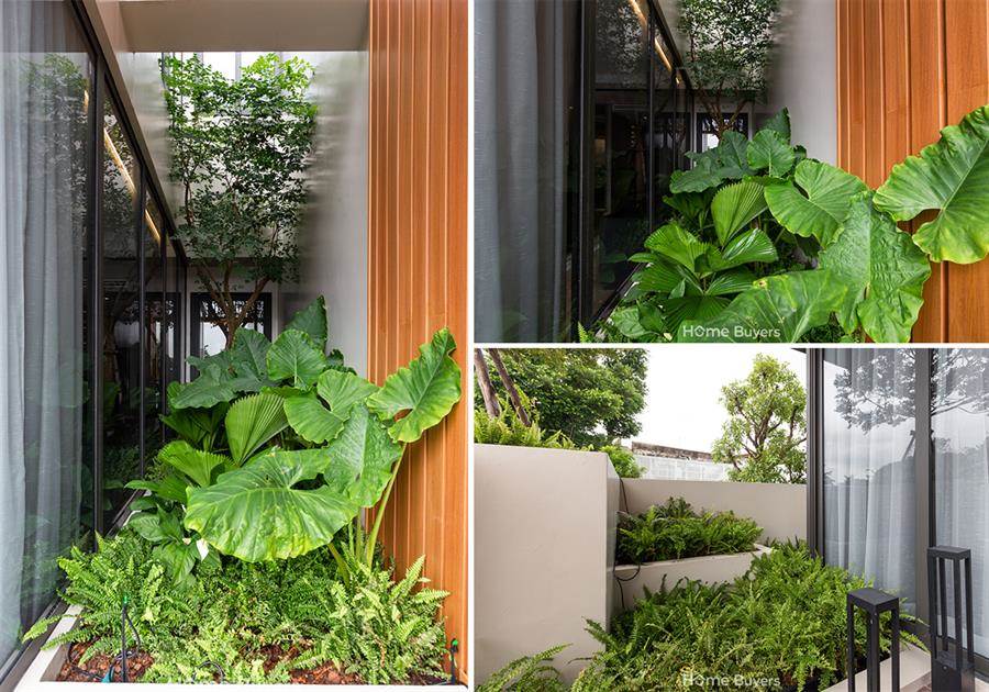 รีวิวบ้าน อัลติจูด มาสเตอรี่ สุขุมวิท บ้านเดี่ยวแบบ Luxury Pool Villa หรูหรา ทันสมัย อยู่สบายและถูกหลักฮวงจุ้ย สังคมส่วนตัวเพียง 16 ครอบครัว รีวิวบ้าน อัลติจูด มาสเตอรี่ สุขุมวิท บ้านเดี่ยวแบบ Luxury Pool Villa หรูหรา ทันสมัย อยู่สบายและถูกหลักฮวงจุ้ย สังคมส่วนตัวเพียง 16 ครอบครัว