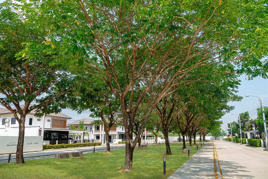 รีวิวบ้านเดี่ยว โคโม่ พรีโม่ บางนา บ้านเดี่ยว 2 ชั้นสไตล์ Luxury Villa รีวิวบ้านเดี่ยว โคโม่ พรีโม่ บางนา บ้านเดี่ยว 2 ชั้นสไตล์ Luxury Villa