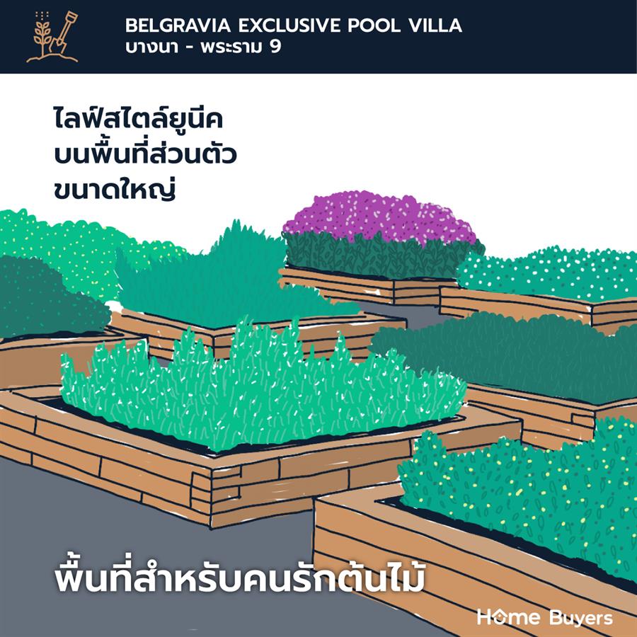 Belgravia Exclusive Pool Villa บางนา - พระราม 9 บ้านบรรยากาศรีสอร์ทที่สุดความเป็นส่วนตัว ทำเลเชื่อมต่อชีวิตในเมือง
