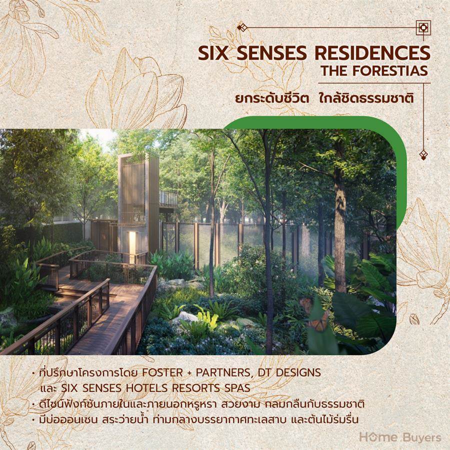 SIX SENSES RESIDENCES THE FORESTIAS บ้านระดับ Ultra-Luxury โครงการแรก จาก SIX SENSES ที่ THE FORESTIAS SIX SENSES RESIDENCES THE FORESTIAS บ้านระดับ Ultra-Luxury โครงการแรก จาก SIX SENSES ที่ THE FORESTIAS