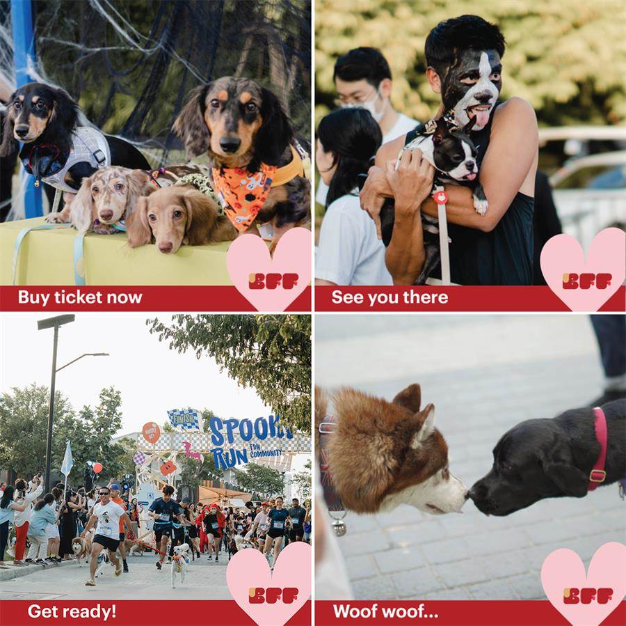 แสนสิริ ชวนคุณและน้องหมาสุดเลิฟ มาฟินเทศกาลแห่งความรักในงาน “BFF : BARK FRIENDS FOREVER” 