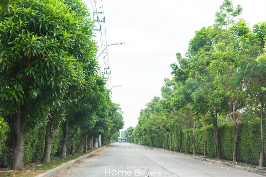 รีวิวเดอะ วิลเลจ ชัยพฤกษ์ - วงแหวน บ้านสไตล์ American Cottage เพียง 95 ยูนิต บนทำเล ชัยพฤกษ์ - วงแหวน รีวิวเดอะ วิลเลจ ชัยพฤกษ์ - วงแหวน บ้านสไตล์ American Cottage เพียง 95 ยูนิต บนทำเล ชัยพฤกษ์ - วงแหวน