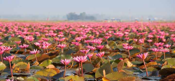 Top 5 Location ตอน :: 5 จังหวัดศักยภาพโดดเด่น โซนอีสาน