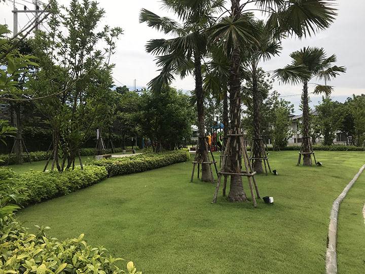 พรีวิวบ้าน สยามไฮวิลล์ วงแหวนธัญญะ บ้านเดี่ยวหลังใหญ่ อยู่สบาย หน้ากว้างถึง 20 เมตร จอดรถได้ 4 คัน