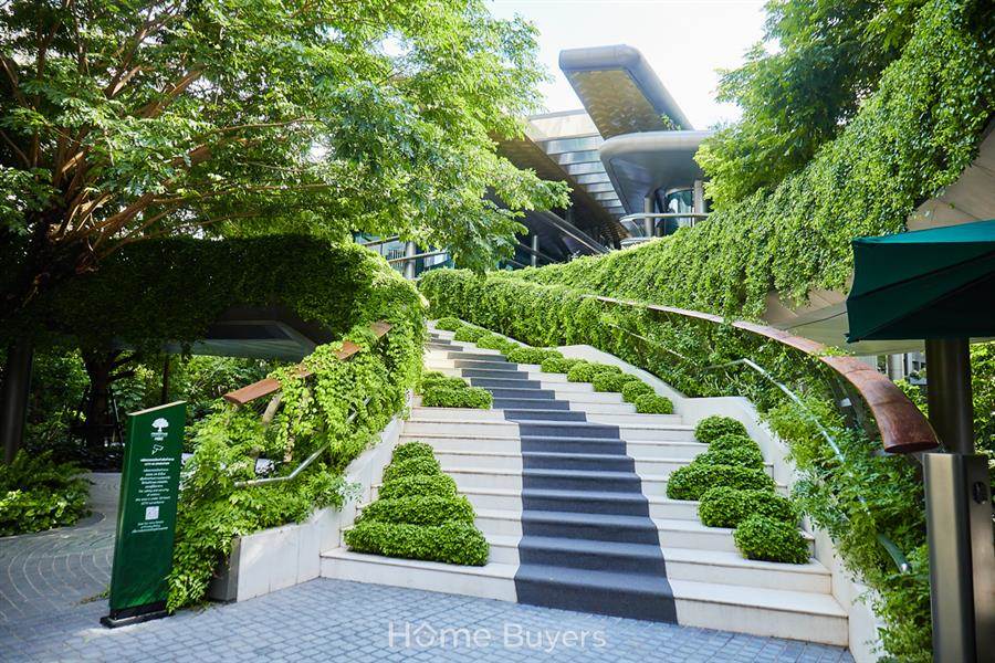 รีวิวคอนโดหรู The Forestias Signature Series ห้องชุดเน้นพื้นที่ขนาดใหญ่เพื่อชีวิตครอบครัว ในบรรยากาศส่วนตัวใกล้ชิดธรรมชาติ รีวิวคอนโดหรู The Forestias Signature Series ห้องชุดเน้นพื้นที่ขนาดใหญ่เพื่อชีวิตครอบครัว ในบรรยากาศส่วนตัวใกล้ชิดธรรมชาติ