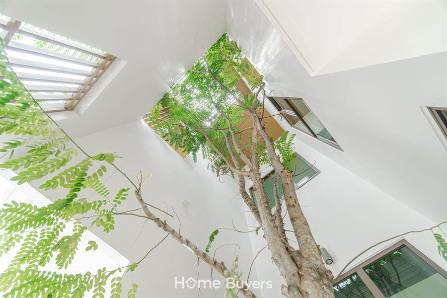 รีวิวบ้าน ละไม หทัยราษฎร์ 39 จากปรัชญาการออกแบบบ้านญี่ปุ่นสู่บ้านต้นไม้สไตล์ Modern Japanese