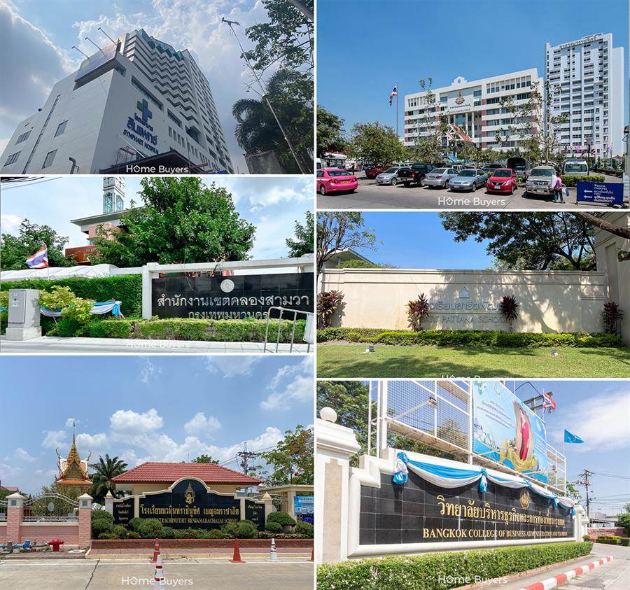 รีวิวบ้าน ละไม หทัยราษฎร์ 39 จากปรัชญาการออกแบบบ้านญี่ปุ่นสู่บ้านต้นไม้สไตล์ Modern Japanese