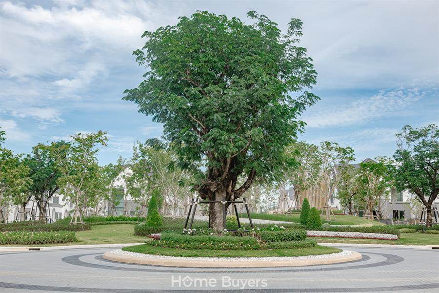 รีวิวบ้านเดี่ยว สราญสิริ ศรีวารี 2 บ้าน Urban Farmhouse บรรยากาศอบอุ่น ใกล้สุวรรณภูมิและทางด่วน 3 สาย รีวิวบ้านเดี่ยว สราญสิริ ศรีวารี 2 บ้าน Urban Farmhouse บรรยากาศอบอุ่น ใกล้สุวรรณภูมิและทางด่วน 3 สาย