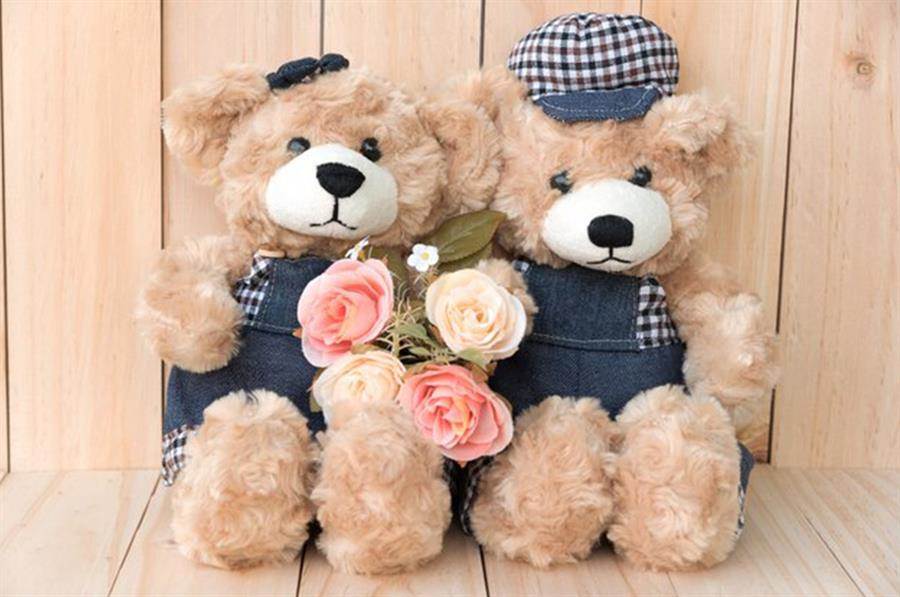 หมอนข้างตุ๊กตา จากของขวัญเด็กสู่ของขวัญที่ใคร ๆ ต่างโปรดปราน หมอนข้างตุ๊กตา จากของขวัญเด็กสู่ของขวัญที่ใคร ๆ ต่างโปรดปราน