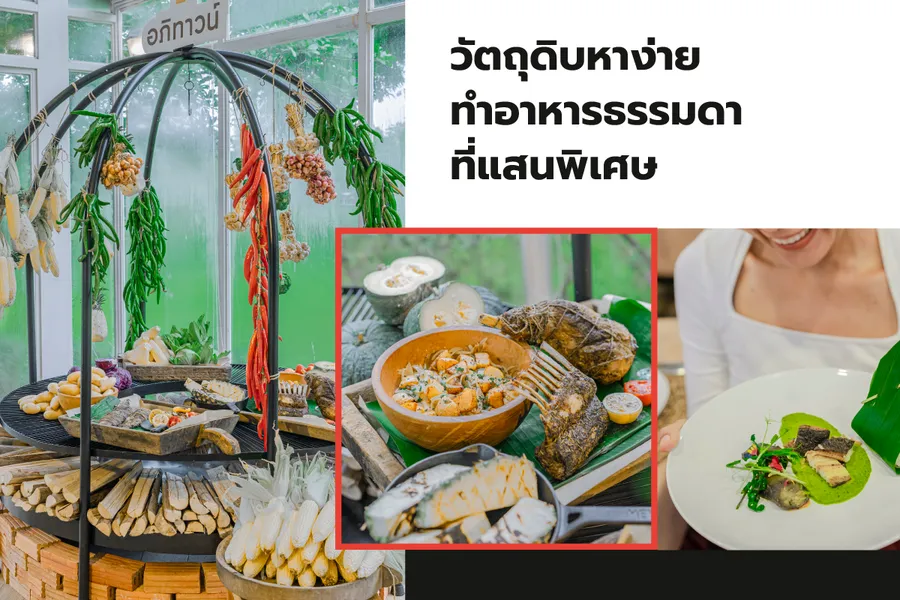 ชวนไปแอ่วเชียงราย กินอาหารเหนือ ดูบ้านที่ 