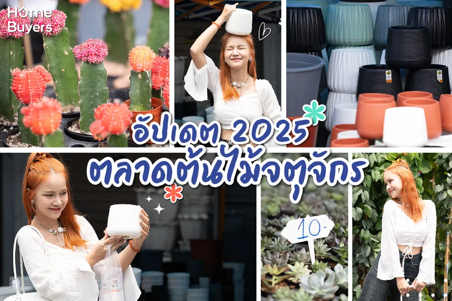 อัปเดตตลาดต้นไม้จตุจักร 2025 อัปเดตตลาดต้นไม้จตุจักร 2025