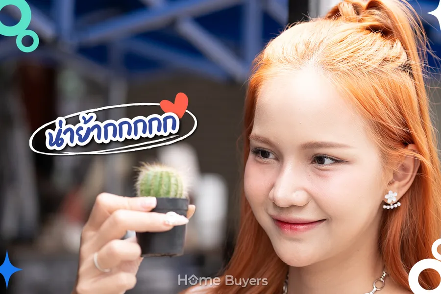 อัปเดตตลาดต้นไม้จตุจักร 2025 อัปเดตตลาดต้นไม้จตุจักร 2025