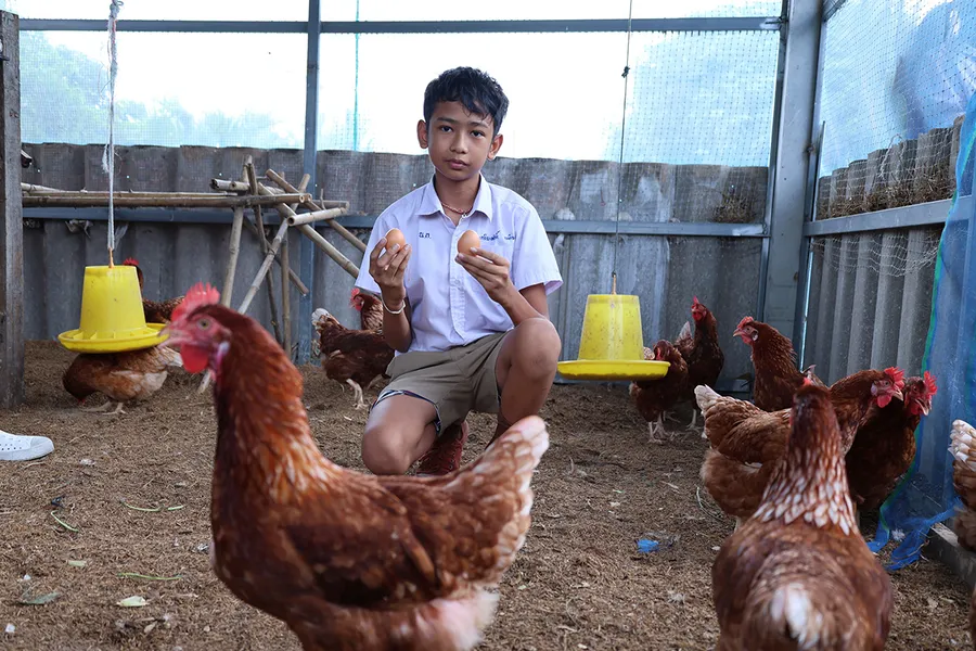 BAM สนับสนุนโรงเรียนบ้านเนินทองราษฎร์พัฒนา จ.พิษณุโลก จัดทำโครงการโรงเรียนต้นคิด ชีวิตยั่งยืน เพื่ออาหารกลางวัน ปีที่ 4