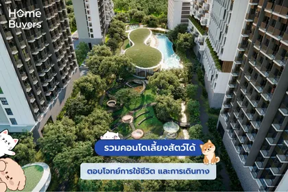 รวมคอนโดเลี้ยงสัตว์ได้ ตอบโจทย์การใช้ชีวิต และการเดินทาง