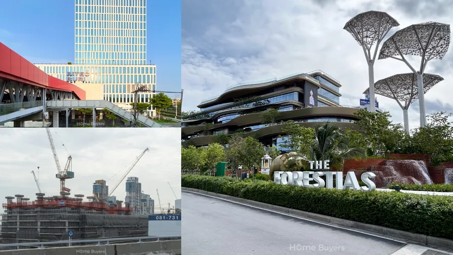เจาะลึก พลีโน่ แพรกษา - สุขุมวิท ทาวน์โฮม บ้านแฝด เริ่ม 2.79 ล้าน* ติด ถ.สุขุมวิท ใกล้ BTS เคหะฯ ฟังก์ชันตอบโจทย์ครอบครัวขยาย เจาะลึก พลีโน่ แพรกษา - สุขุมวิท ทาวน์โฮม บ้านแฝด เริ่ม 2.79 ล้าน* ติด ถ.สุขุมวิท ใกล้ BTS เคหะฯ ฟังก์ชันตอบโจทย์ครอบครัวขยาย