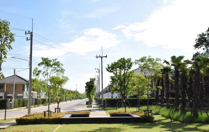 พรีวิว เลอมาน ธัญญะ