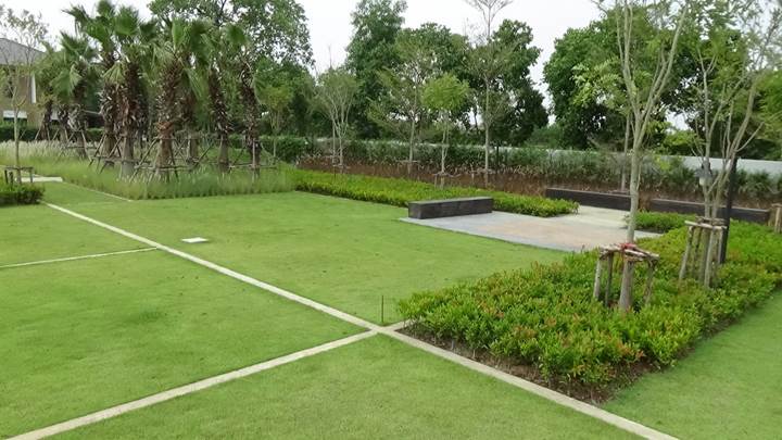 พรีวิว เลอมาน ธัญญะ